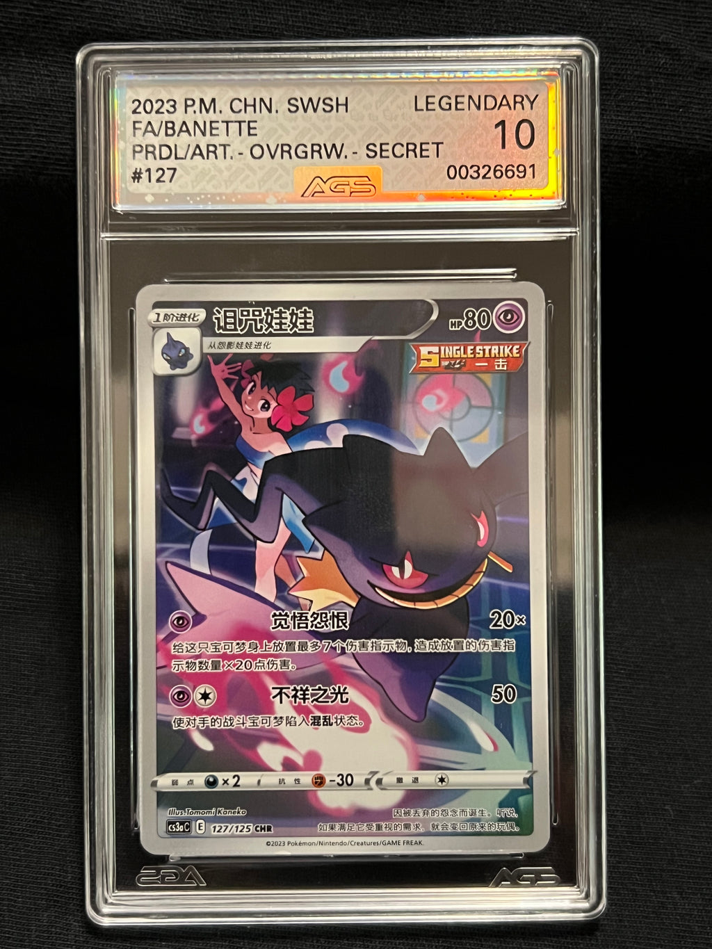 2023 P.M. CHN. SWSH FA/BANETTE PRDL/ART. - OVRGRW. - SECRET